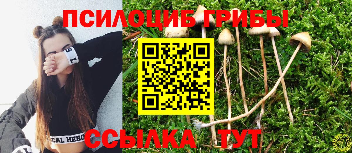 Новочеркасск  Галлюциногенные грибы ЛСД  магазин  наркотиков  Вход с VPN 