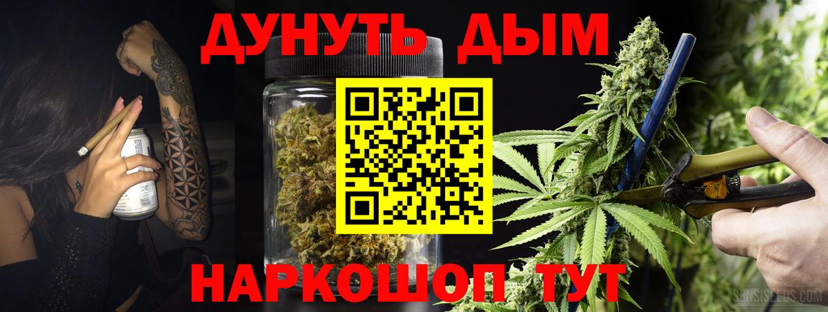 Канабис сатива Новочеркасск